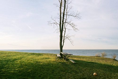 joyce kim photographer photography