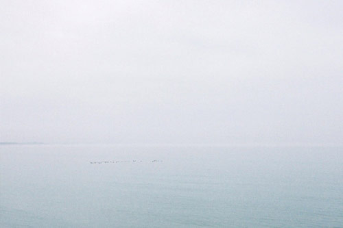 joyce kim photographer photography