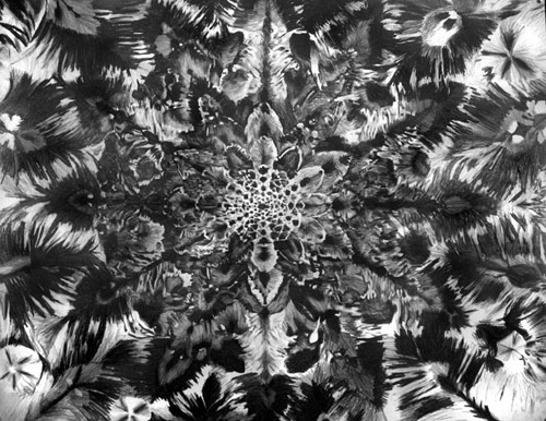 mike paré pare new mexico drawing artist