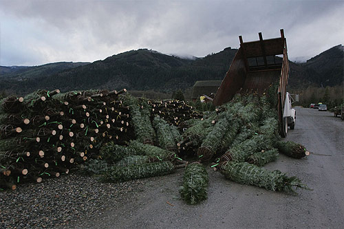 serge giachetti photographer photography