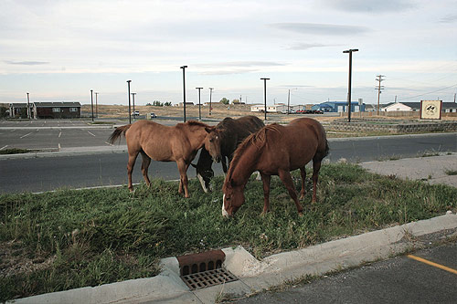 serge giachetti photographer photography