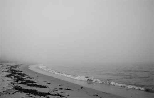 TYanceyIV photographer photography