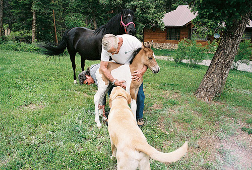 brian luman photographer photography