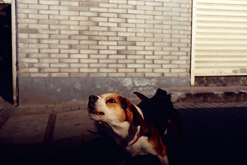 davey warren photographer photography