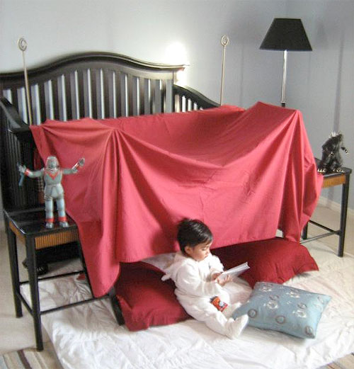 wild things forts project