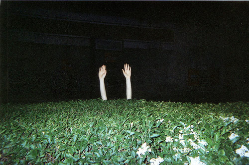  lisa manfre the arms project photographer photography