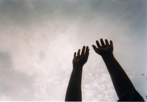  lisa manfre the arms project photographer photography