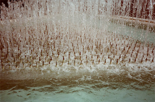 nina zivkovic photographer photography