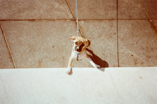 nina zivkovic photographer photography