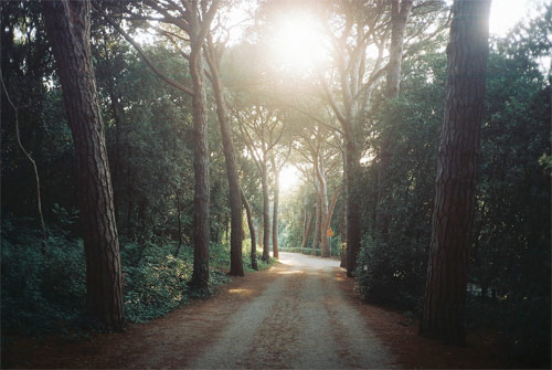 nina zivkovic photographer photography