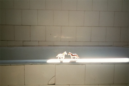 nina zivkovic photographer photography