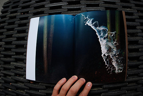 paul herbst photographer photography