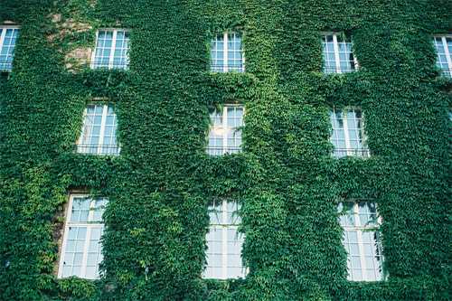 vera mishurina photographer photography