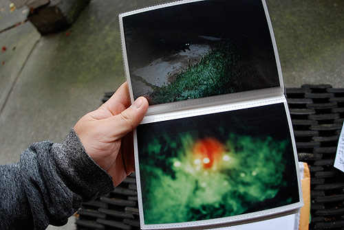 blood of the young zine exteens photography