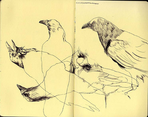 donny nguyen illustration illustrator drawing