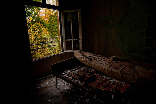 kale friesen photographer photography