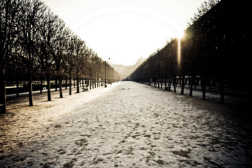 kale friesen photographer photography