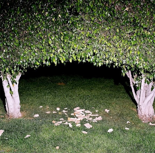 patrick romero photographer photography