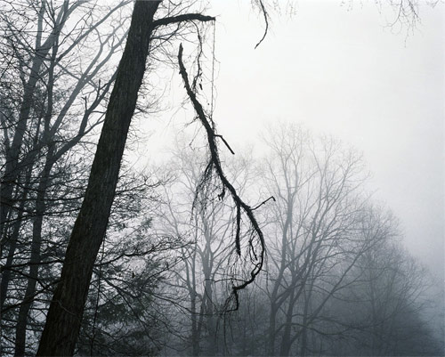 tammy mercure photographer photography