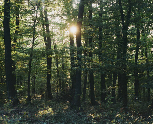 christian pitschl photographer photography