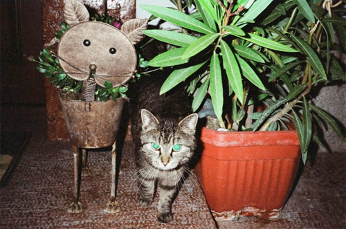 christian pitschl photographer photography