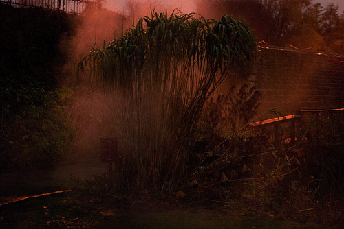 paul phung photographer photography