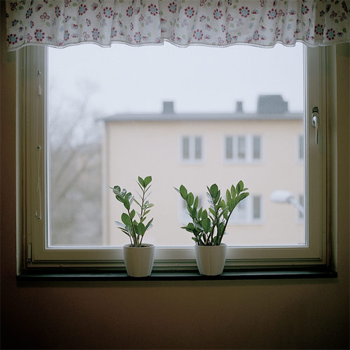 teppei takahashi photographer photography