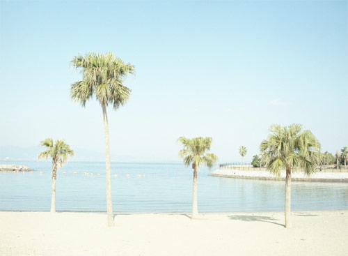 teppei takahashi photographer photography