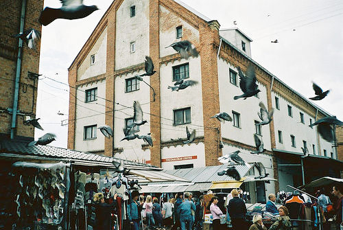 valeria picerno photographer photography