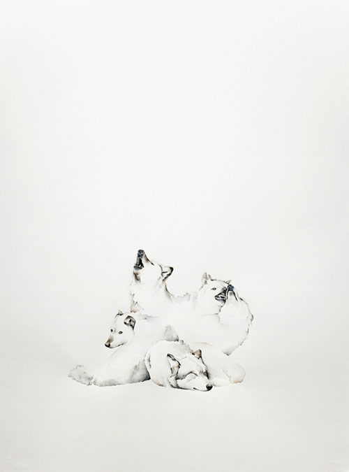 amy ross artist painter painting steven zevitas wolf soldier  gallery