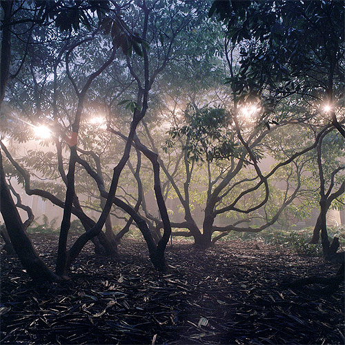 andrew tomchyshyn photographer photography