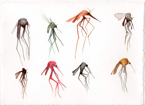 Artist illustrator Kaeleen Wescoat - Oneill drawing