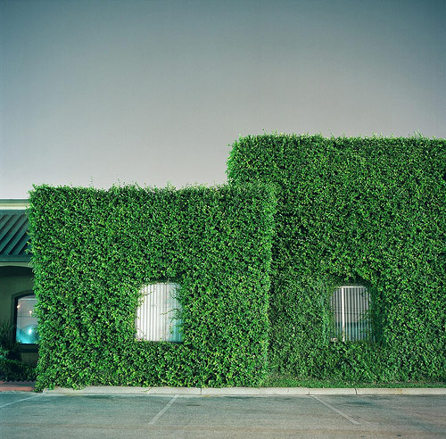 mando alvarez photographer photography