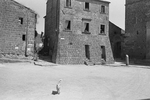 ted pushinsky photographer photography