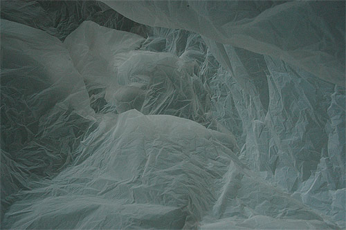 Antarctica in a bag by François Delfosse
