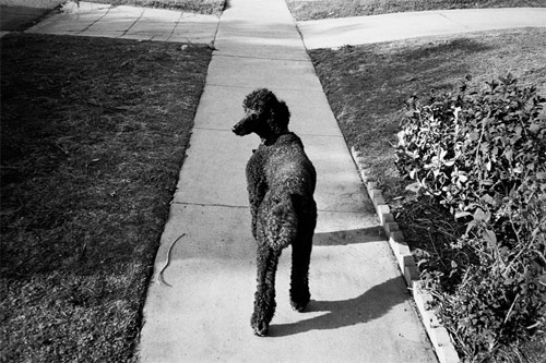 bryan formhals photographer photography