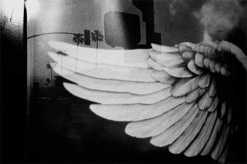 bryan formhals photographer photography