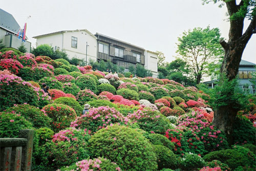 dan abbe photographer photography