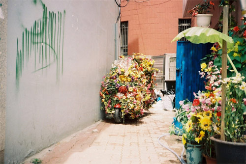 dan abbe photographer photography