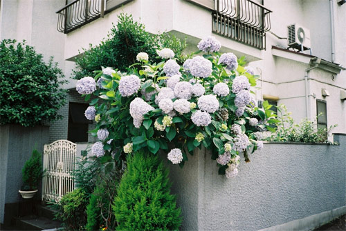 dan abbe photographer photography