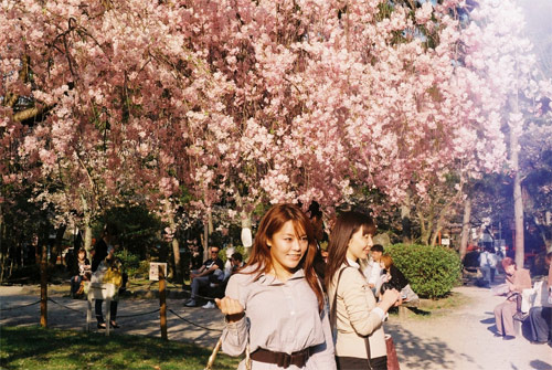 dan abbe photographer photography