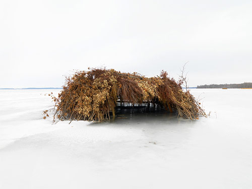 dave jordano photographer photography duck blinds