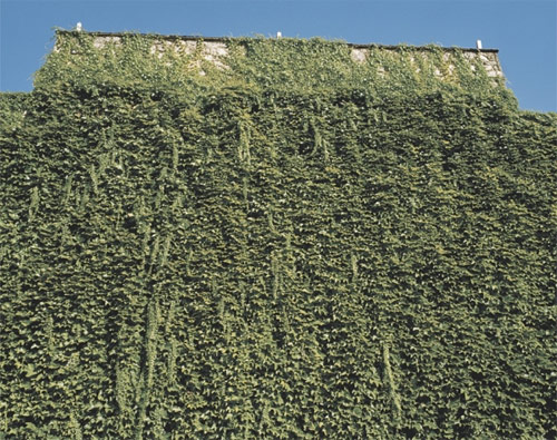 gus powell photographer photography