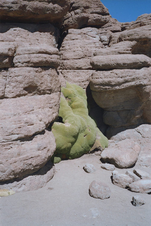 olle freyhult photographer photography