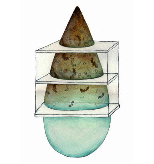 shannon freshwater artist drawing painting