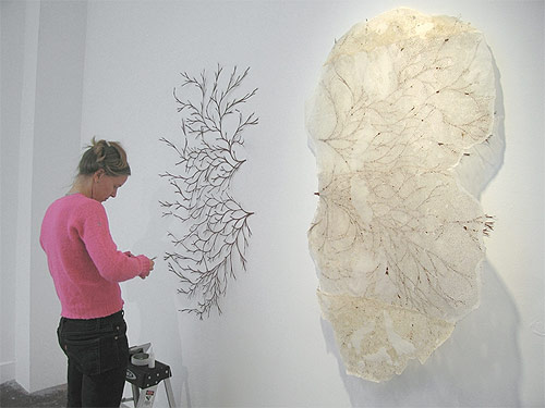 adriane colburn artist paper cut installation