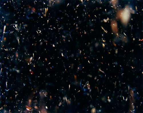 rebecca hinden photographer photography