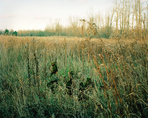 darren rigo photographer photography domestic wilderness