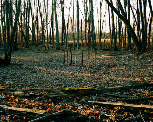 darren rigo photographer photography domestic wilderness