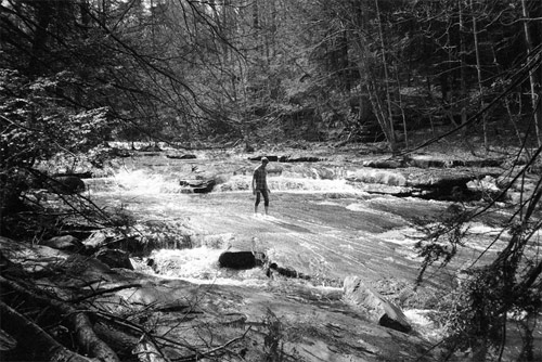 jody rogac photographer photography